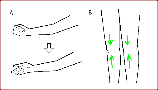 Image (Arm and Leg)